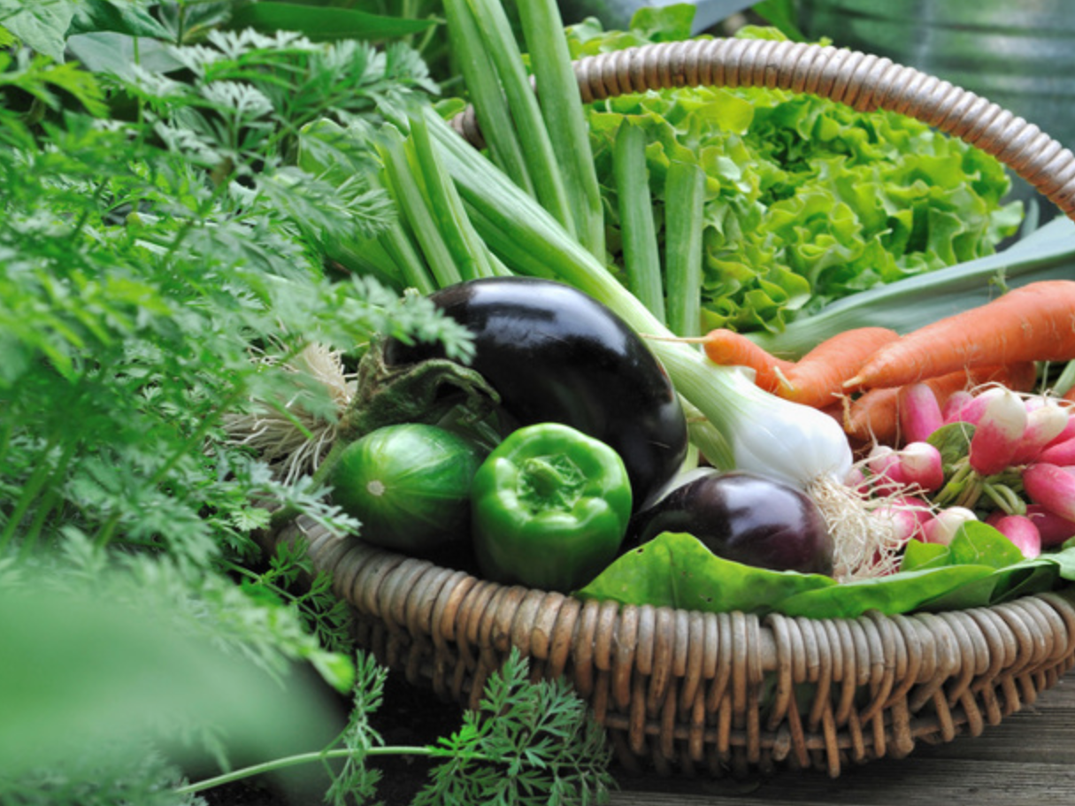Nutrition, halte aux idées reçues !