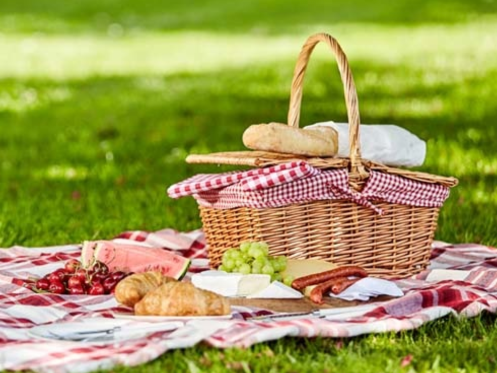 5 recettes de lunch box saines pour déjeuner au parc