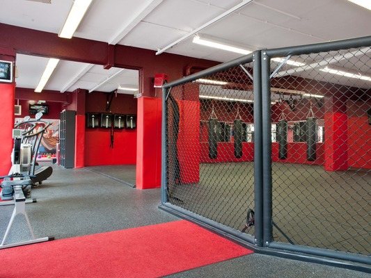Platinium Hybrid Training Center